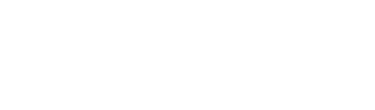 accelean management consultants